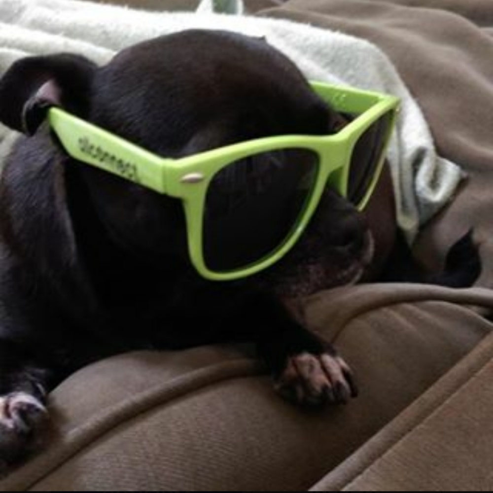 Meet your Posher, Andrea